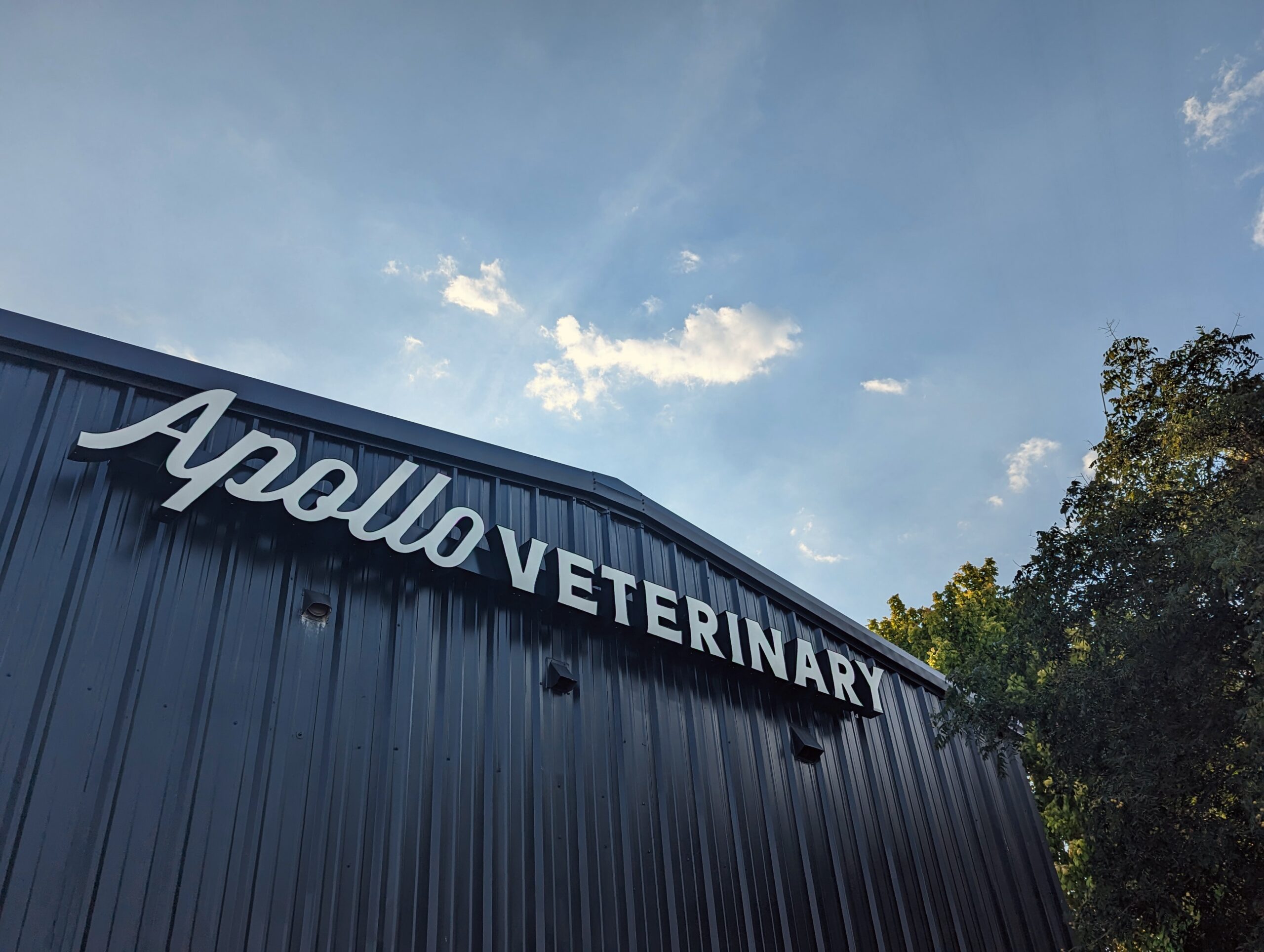 Apollo Vet Front