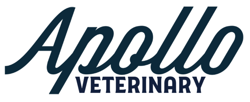 Apollo Veterinary Hospital Logo Blue