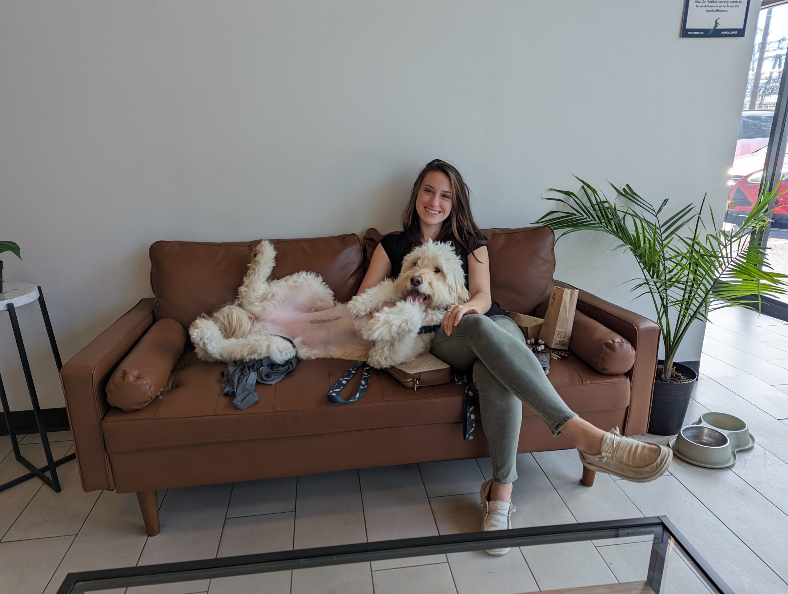 a person sitting on a couch with a dog