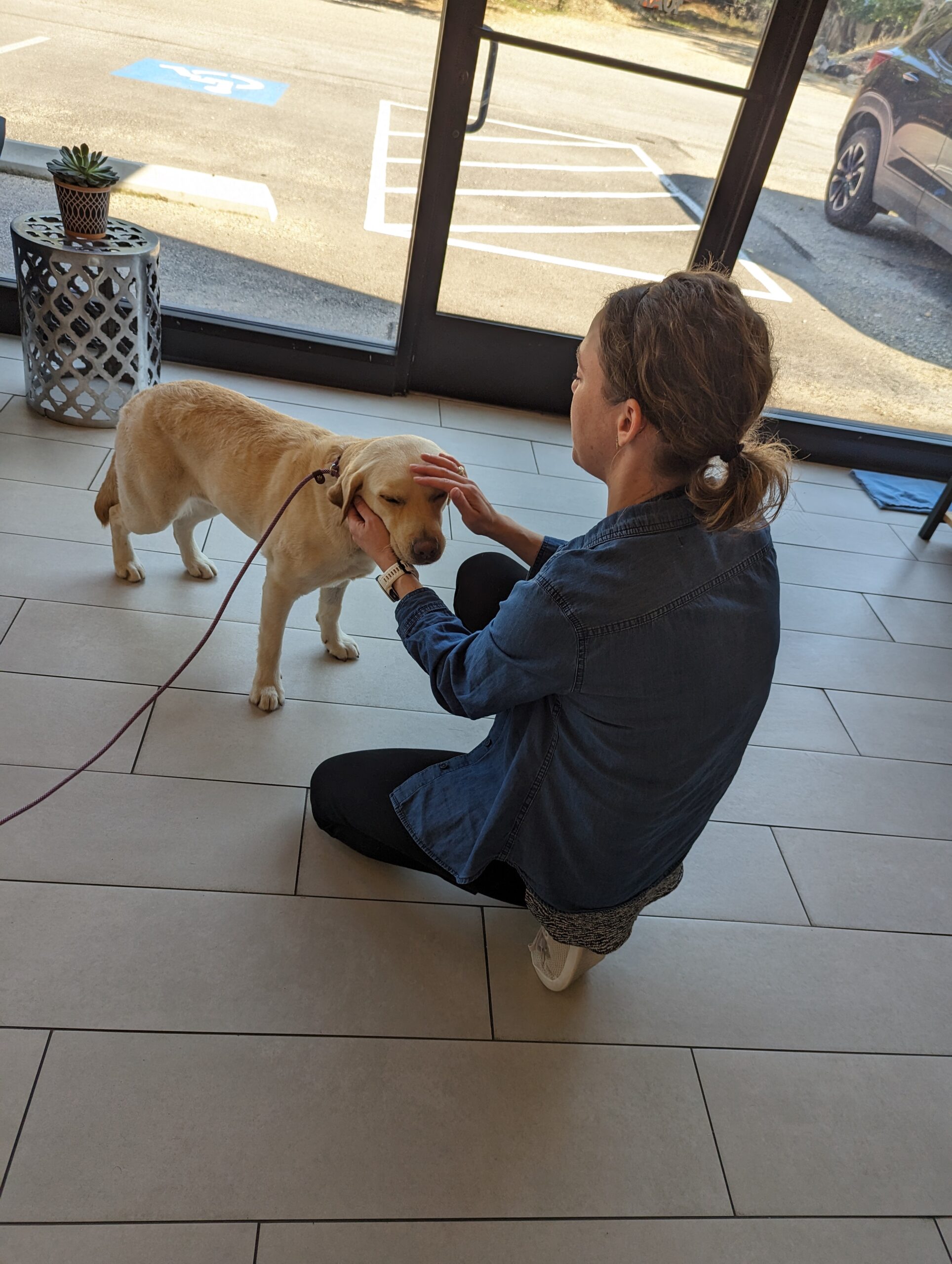a person kneeling on a tile floor petting a dog<br />
