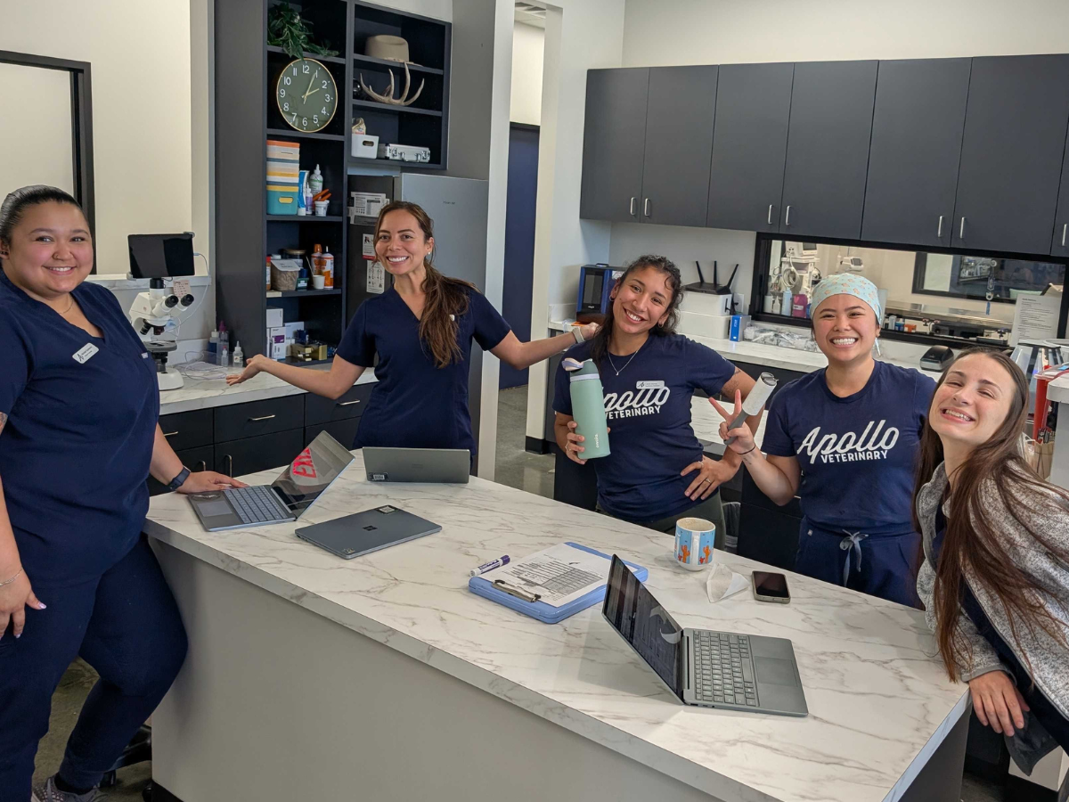 South Austin Team
